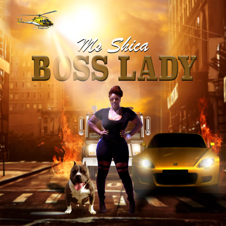 ms shica artcovers 2