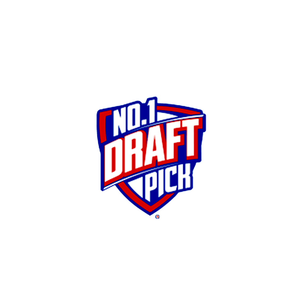 N1DP LOGO 2